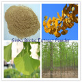 Ginko Biloba Leaves Extract Powder (NLT 24% Flavonas Glycosides)